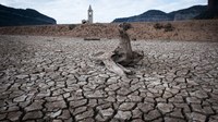 La sequera a Catalunya: causes, efectes i què podem fer?
